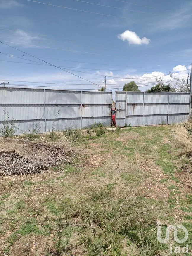 Terreno en Venta en El Maluco, Guanajuato, Guanajuato | NEX-227994 | iad México | Foto 5 de 19