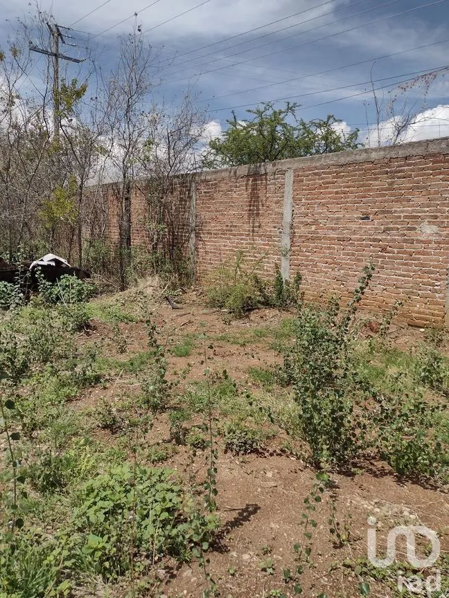Terreno en Venta en El Maluco, Guanajuato, Guanajuato | NEX-227994 | iad México | Foto 8 de 19
