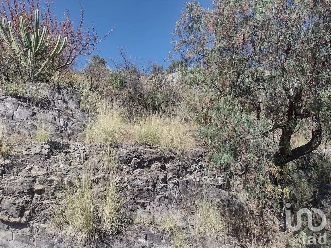 Terreno en Venta en Guanajuato Centro, Guanajuato, Guanajuato | NEX-227995 | iad México | Foto 11 de 11