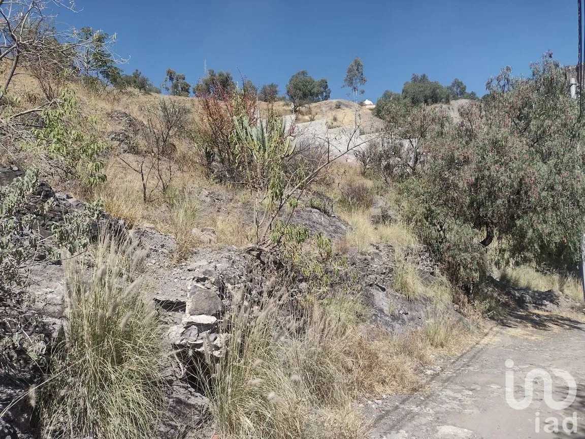 Terreno en Venta en Guanajuato Centro, Guanajuato, Guanajuato | NEX-227995 | iad México | Foto 9 de 11