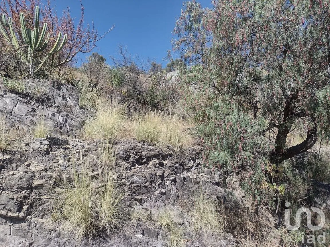 Terreno en Venta en Guanajuato Centro, Guanajuato, Guanajuato | NEX-227996 | iad México | Foto 8 de 15