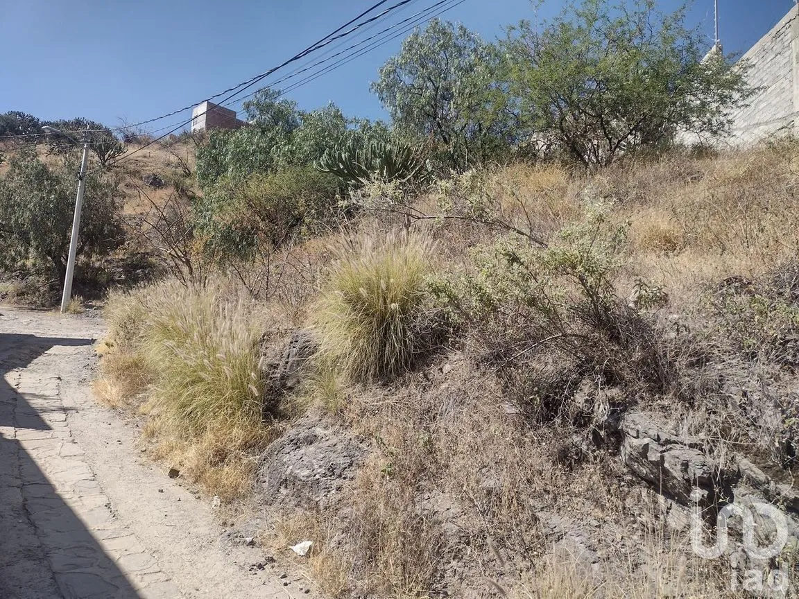 Terreno en Venta en Guanajuato Centro, Guanajuato, Guanajuato | NEX-227997 | iad México | Foto 8 de 16