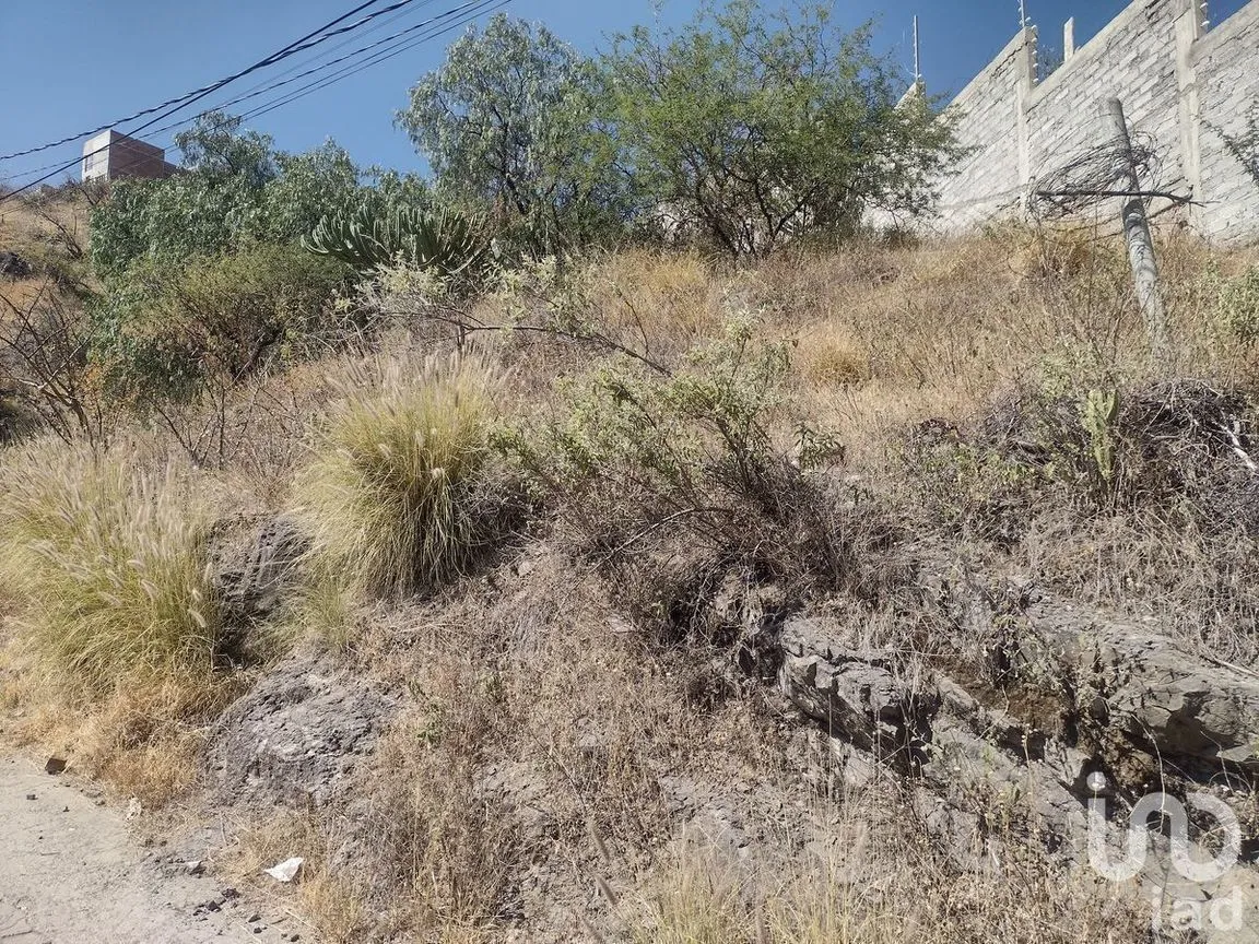 Terreno en Venta en Guanajuato Centro, Guanajuato, Guanajuato | NEX-227997 | iad México | Foto 9 de 16