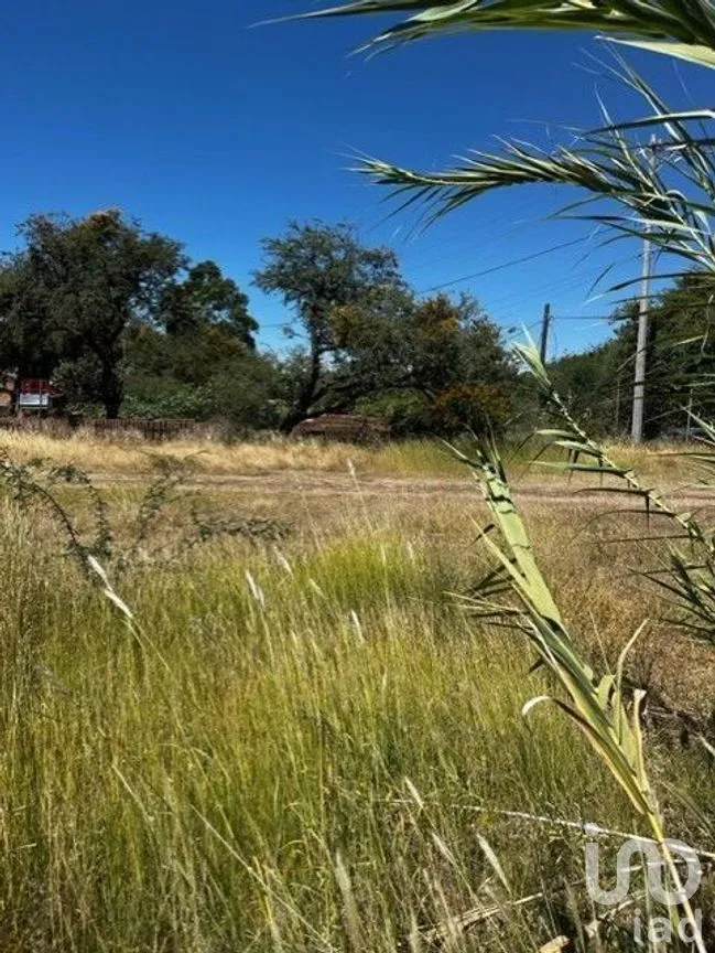 Terreno en Venta en Yerbabuena, Guanajuato, Guanajuato | NEX-228006 | iad México | Foto 2 de 8