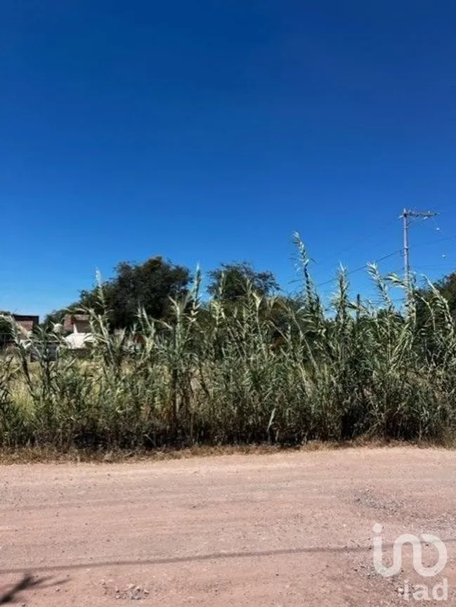Terreno en Venta en Yerbabuena, Guanajuato, Guanajuato | NEX-228006 | iad México | Foto 4 de 8