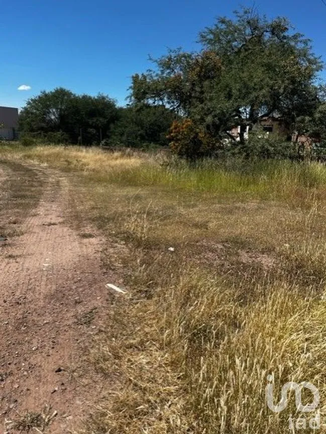 Terreno en Venta en Yerbabuena, Guanajuato, Guanajuato | NEX-228006 | iad México | Foto 6 de 8
