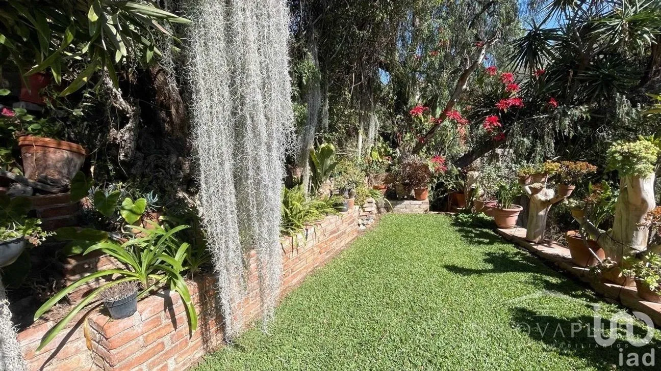 Casa en Venta en Guanajuato Centro, Guanajuato, Guanajuato | NEX-228009 | iad México | Foto 12 de 49