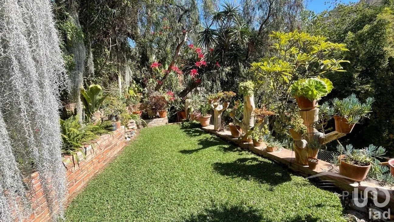 Casa en Venta en Guanajuato Centro, Guanajuato, Guanajuato | NEX-228009 | iad México | Foto 10 de 49