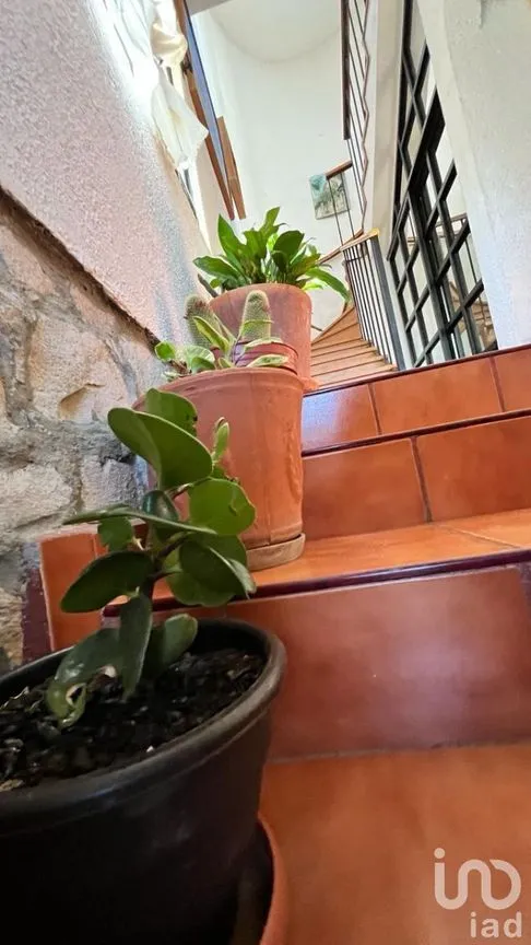 Casa en Venta en Lomas de Valenciana, Guanajuato, Guanajuato | NEX-228015 | iad México | Foto 4 de 29