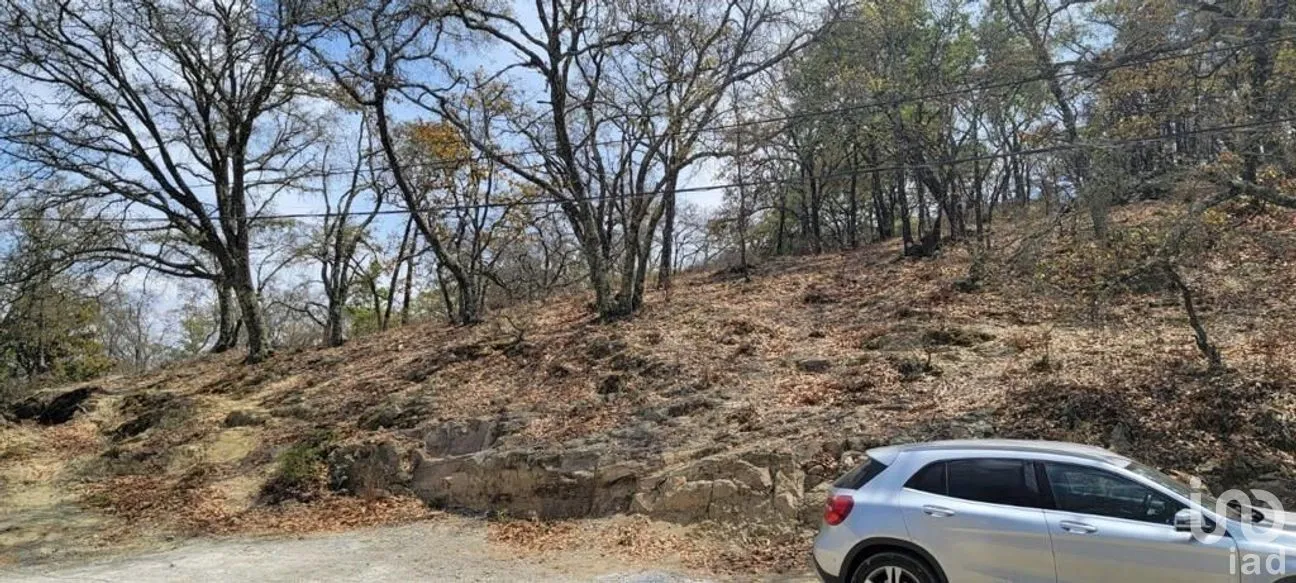 Terreno en Venta en Puerto de Santa Rosa, Guanajuato, Guanajuato | NEX-228024 | iad México | Foto 3 de 8