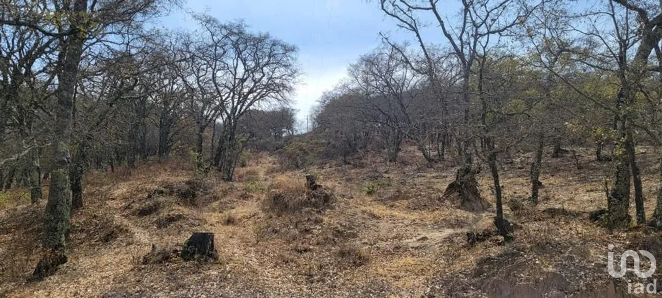 Terreno en Venta en Puerto de Santa Rosa, Guanajuato, Guanajuato | NEX-228024 | iad México | Foto 7 de 8