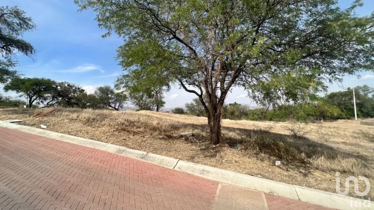 Terreno en Venta en Puentecillas, Guanajuato, Guanajuato | NEX-228031 | iad México | Foto 14 de 19