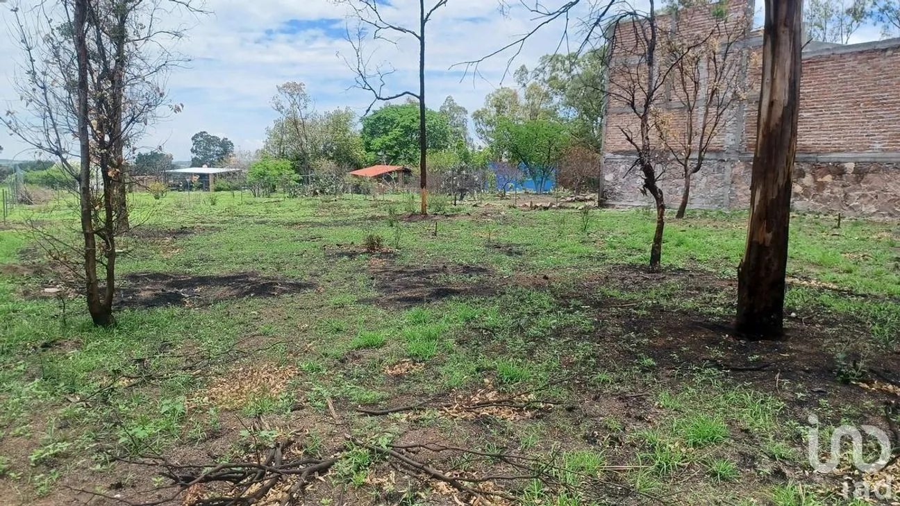 Terreno en Venta en Solano, Guanajuato, Guanajuato | NEX-229933 | iad México | Foto 2 de 15