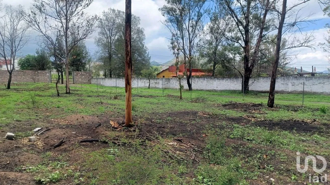Terreno en Venta en Solano, Guanajuato, Guanajuato | NEX-229933 | iad México | Foto 11 de 15