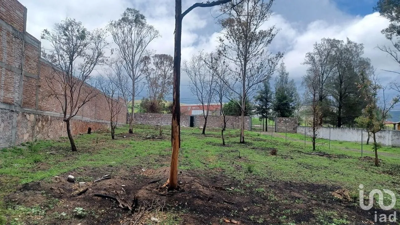 Terreno en Venta en Solano, Guanajuato, Guanajuato | NEX-229933 | iad México | Foto 12 de 15