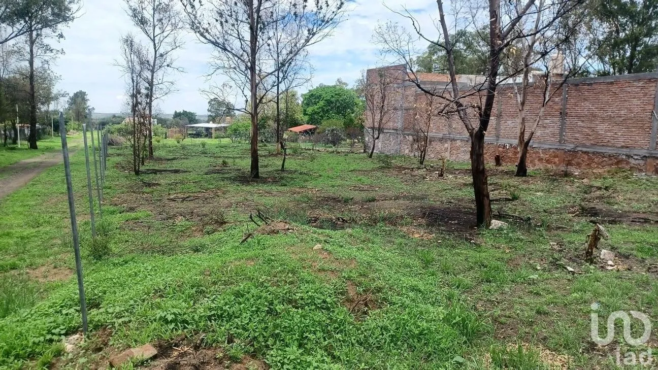 Terreno en Venta en Solano, Guanajuato, Guanajuato | NEX-229933 | iad México | Foto 3 de 15