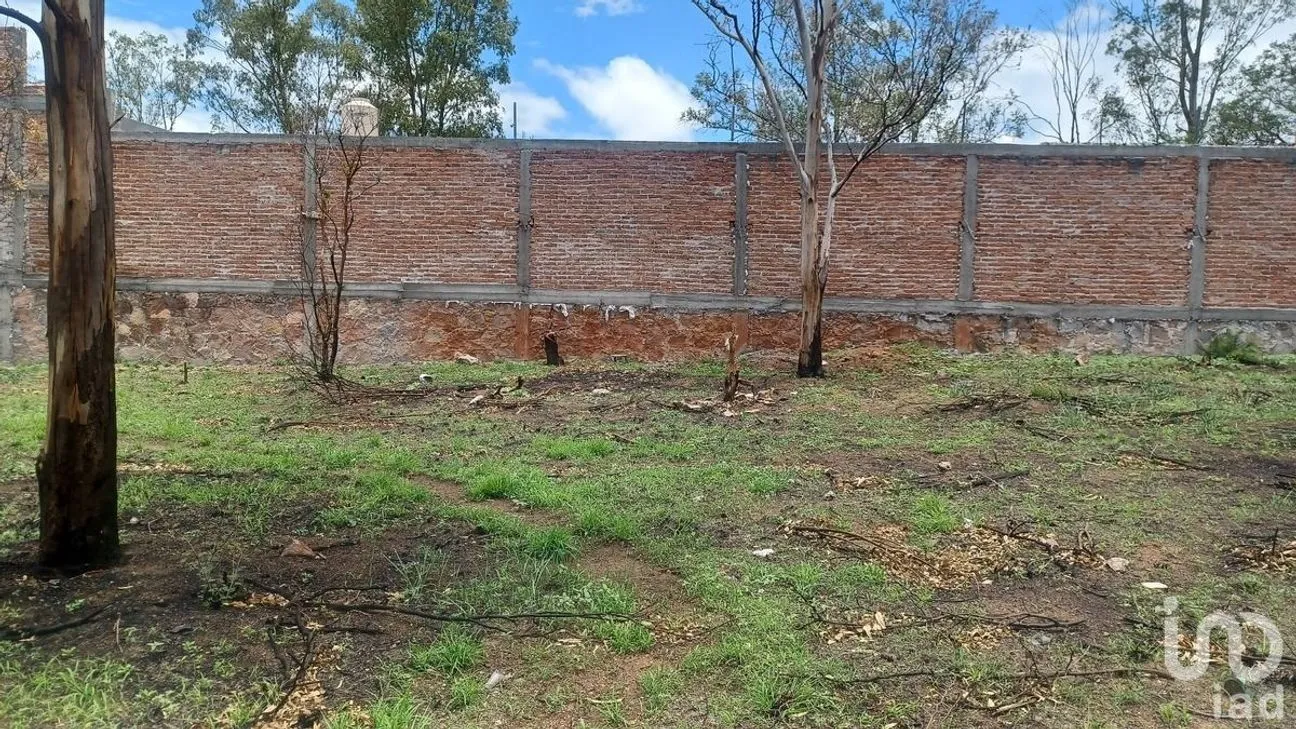 Terreno en Venta en Solano, Guanajuato, Guanajuato | NEX-229933 | iad México | Foto 4 de 15