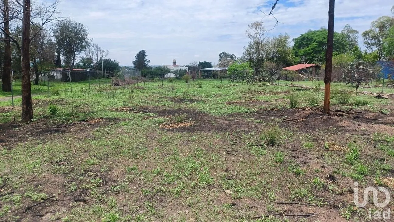 Terreno en Venta en Solano, Guanajuato, Guanajuato | NEX-229933 | iad México | Foto 6 de 15