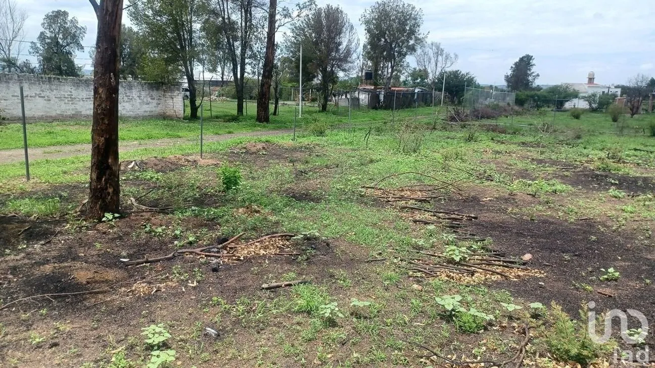 Terreno en Venta en Solano, Guanajuato, Guanajuato | NEX-229933 | iad México | Foto 7 de 15
