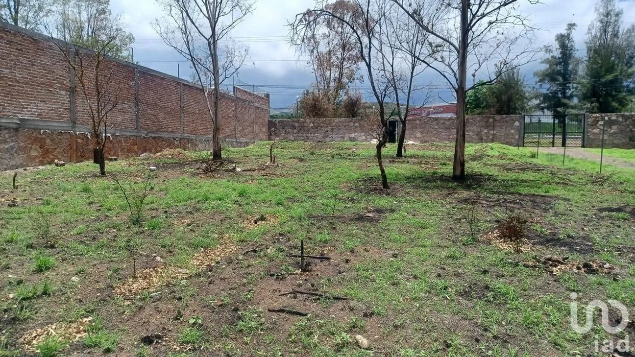 Terreno en Venta en Solano, Guanajuato, Guanajuato | NEX-229933 | iad México | Foto 8 de 15