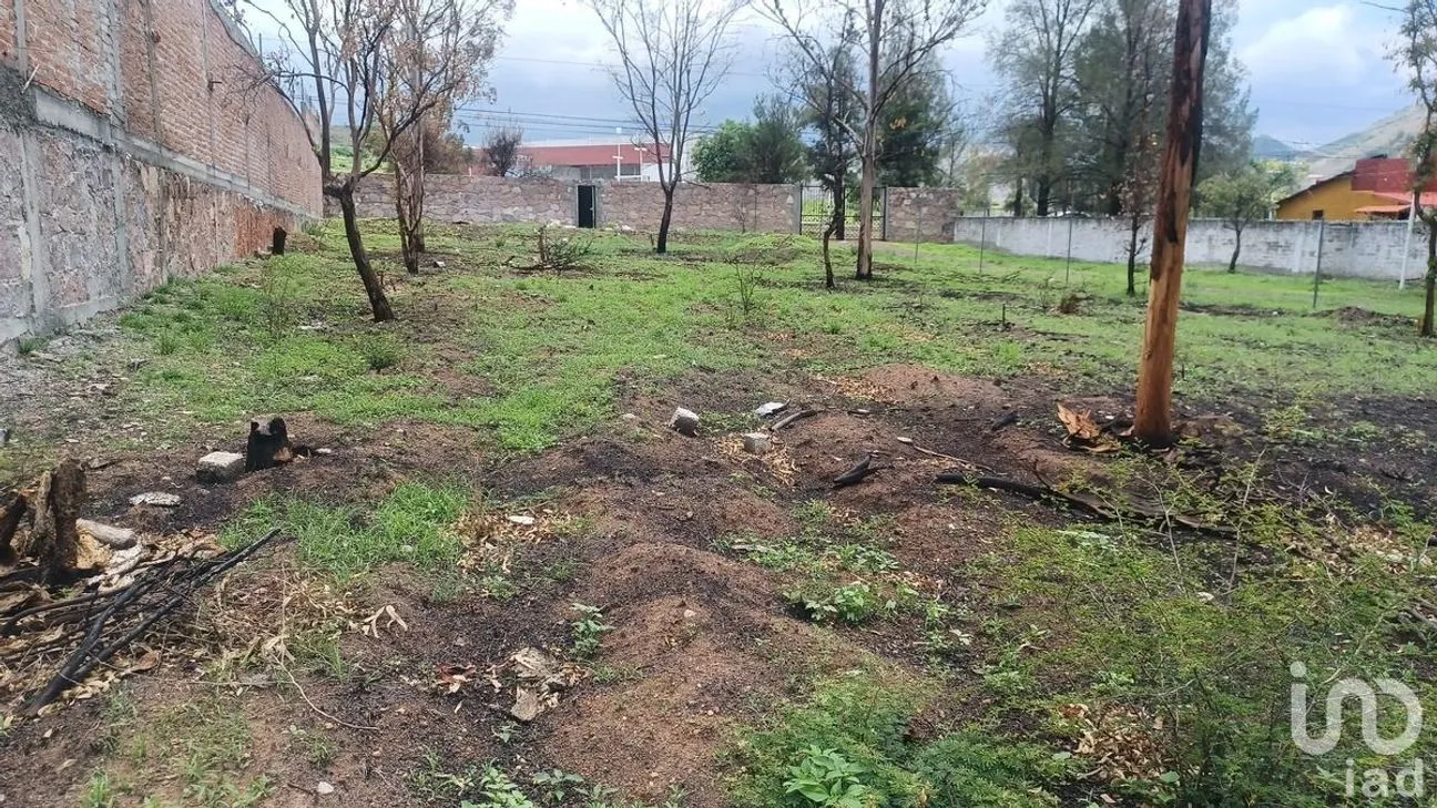 Terreno en Venta en Solano, Guanajuato, Guanajuato | NEX-229933 | iad México | Foto 9 de 15