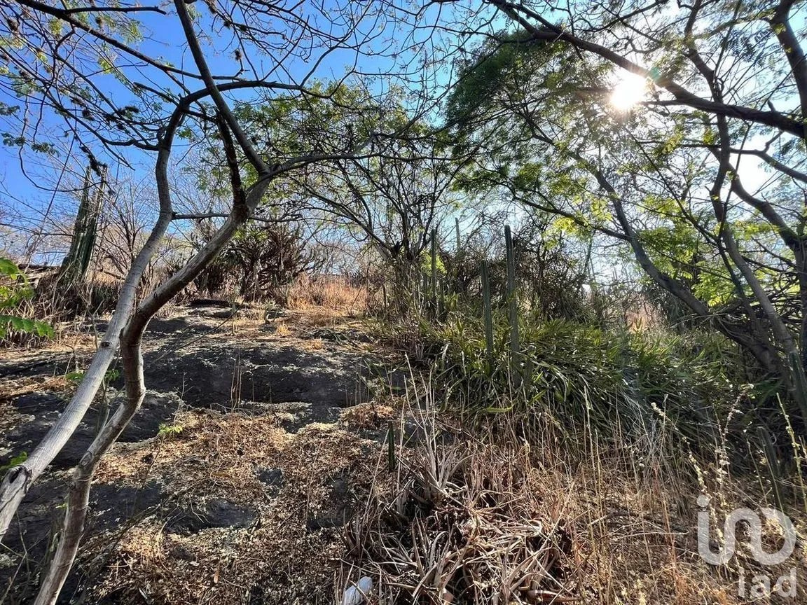 Terreno en Venta en Marfil Centro, Guanajuato, Guanajuato | NEX-277181 | iad México | Foto 11 de 16