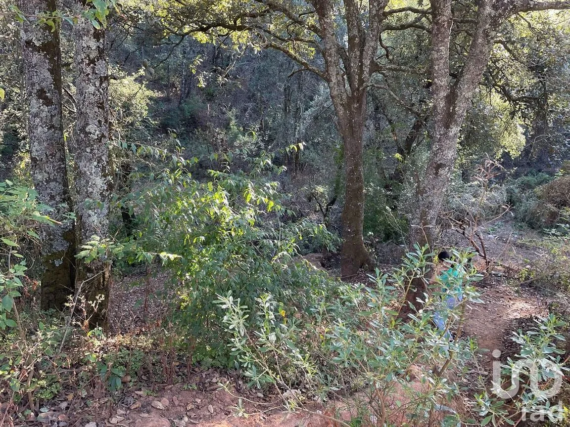 Terreno en Venta en Santa Rosa de Lima, Guanajuato, Guanajuato | NEX-277182 | iad México | Foto 12 de 22