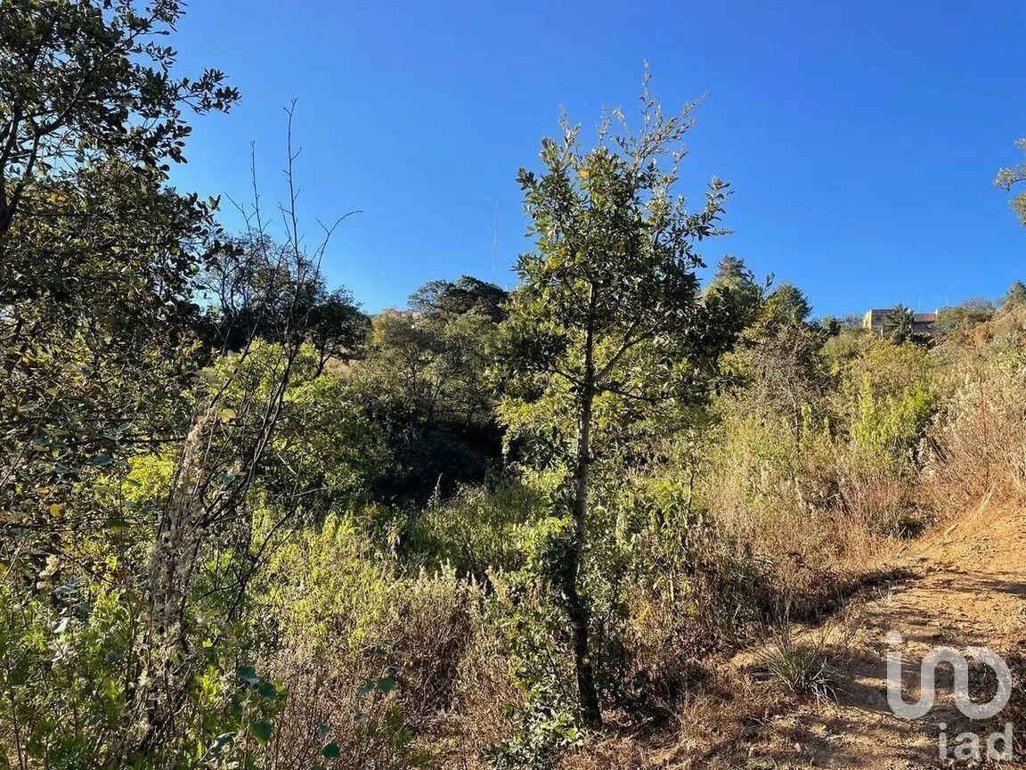 Terreno en Venta en Santa Rosa de Lima, Guanajuato, Guanajuato | NEX-277182 | iad México | Foto 13 de 22