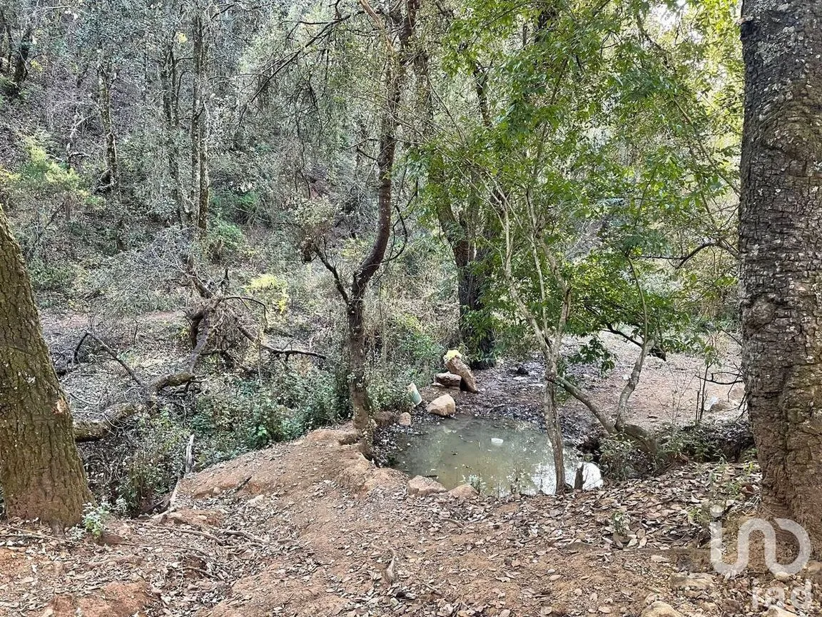 Terreno en Venta en Santa Rosa de Lima, Guanajuato, Guanajuato | NEX-277182 | iad México | Foto 22 de 22