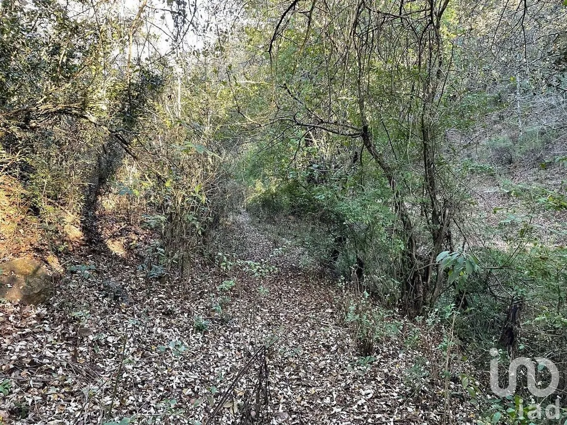 Terreno en Venta en Santa Rosa de Lima, Guanajuato, Guanajuato | NEX-277182 | iad México | Foto 7 de 22