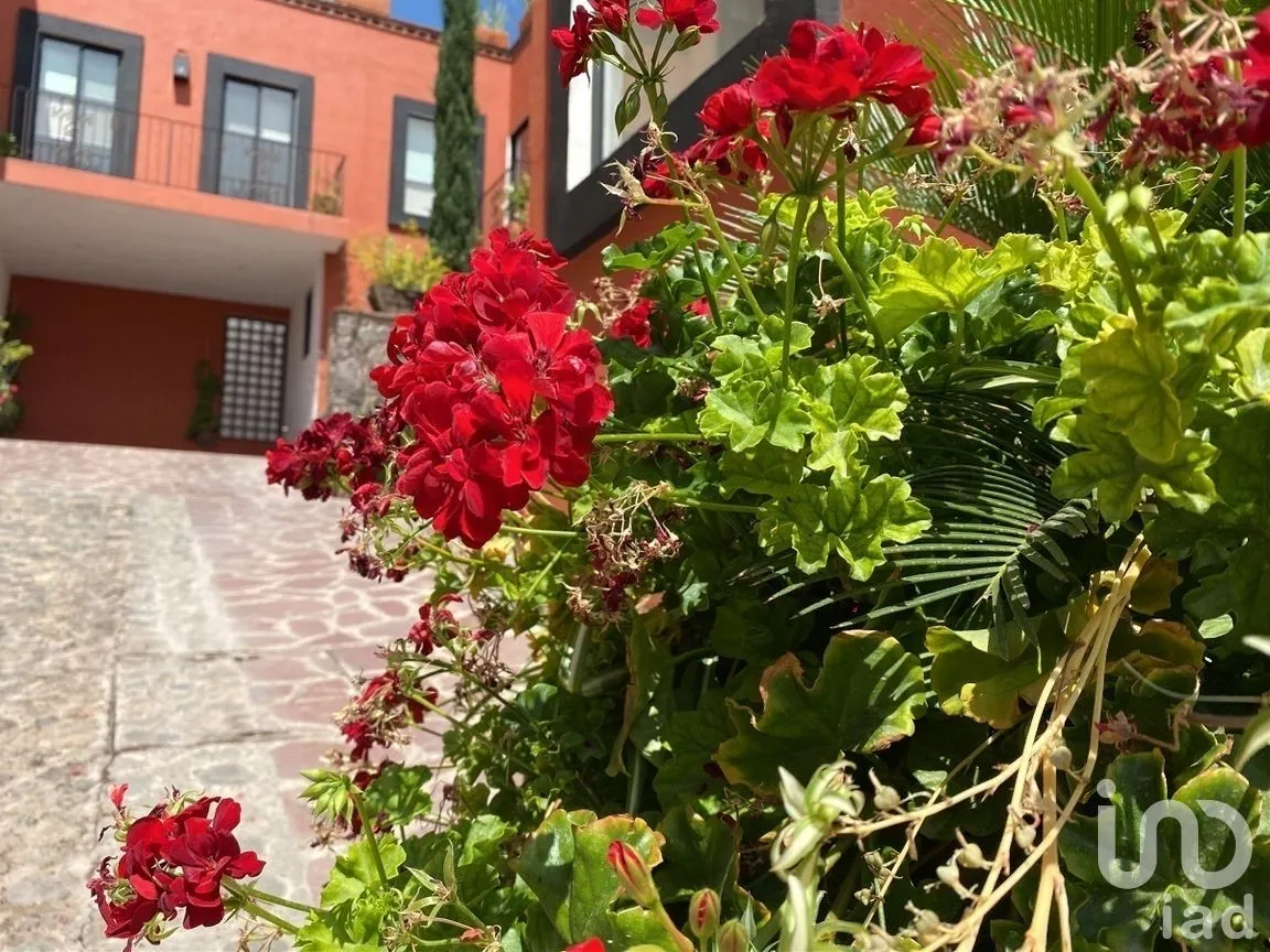 Casa en Renta en Residencial Marfil, Guanajuato, Guanajuato | NEX-277194 | iad México | Foto 9 de 30