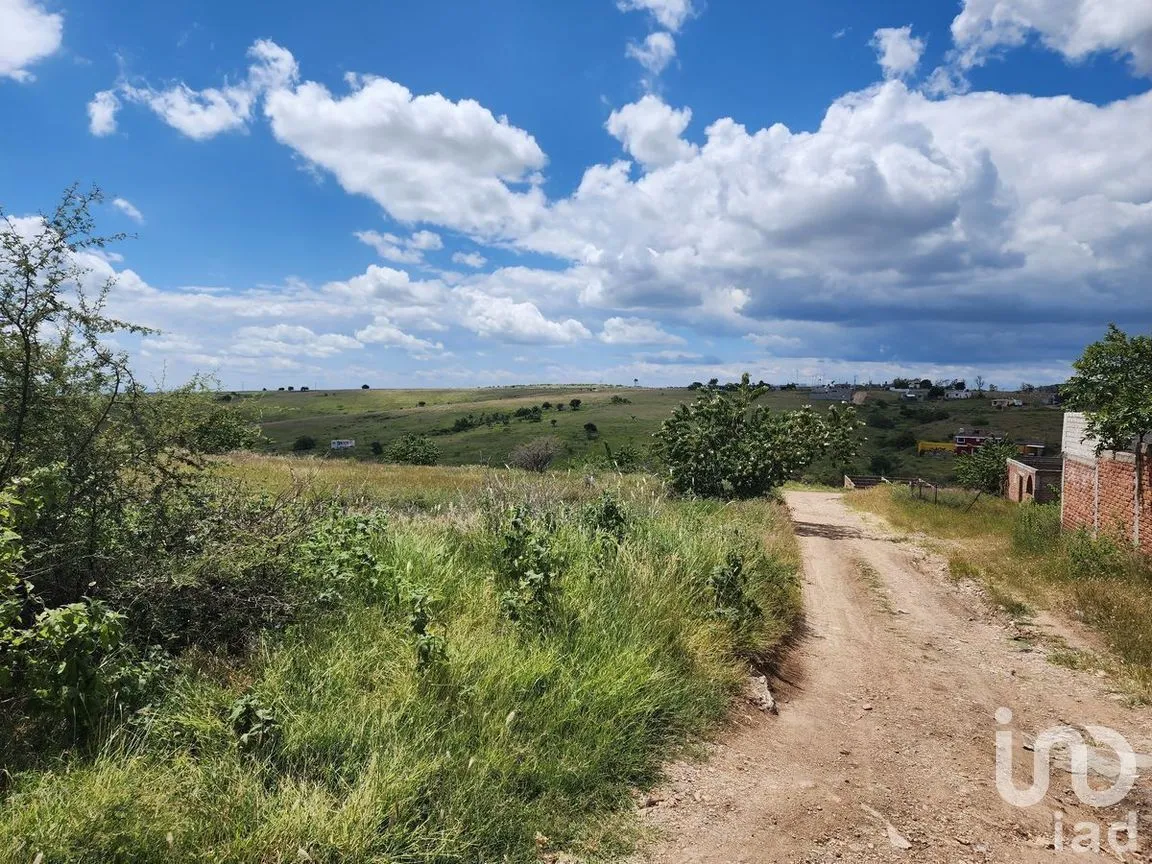 Terreno en Venta en Santa Teresa, Guanajuato, Guanajuato | NEX-277216 | iad México | Foto 6 de 13