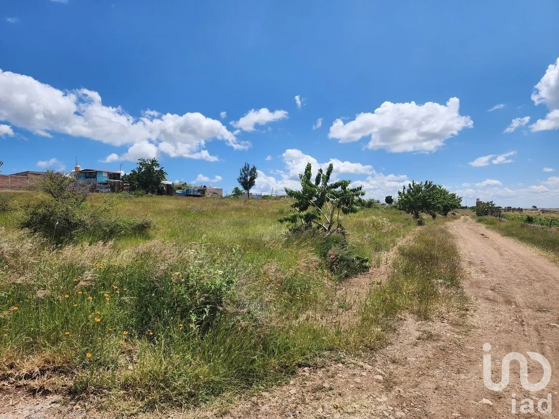 Terreno en Venta en Santa Teresa, Guanajuato, Guanajuato | NEX-277216 | iad México | Foto 7 de 13