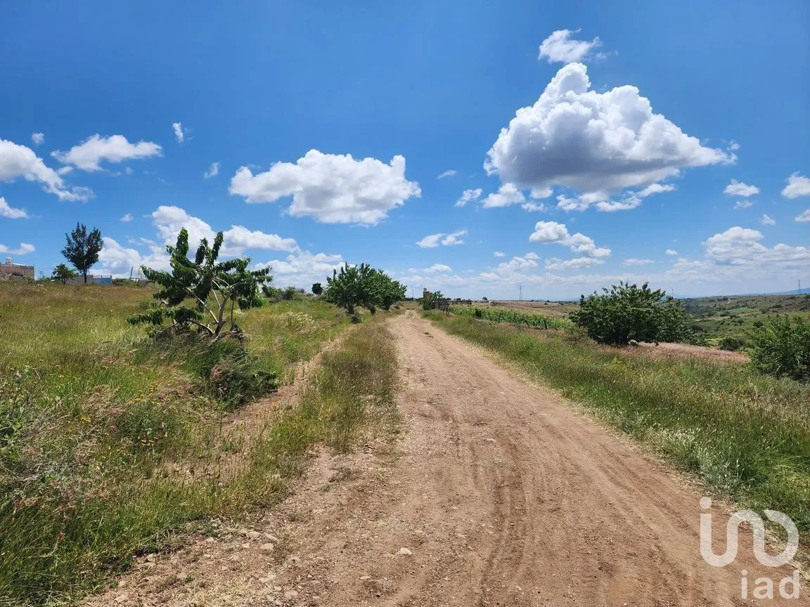 Terreno en Venta en Santa Teresa, Guanajuato, Guanajuato | NEX-277216 | iad México | Foto 8 de 13