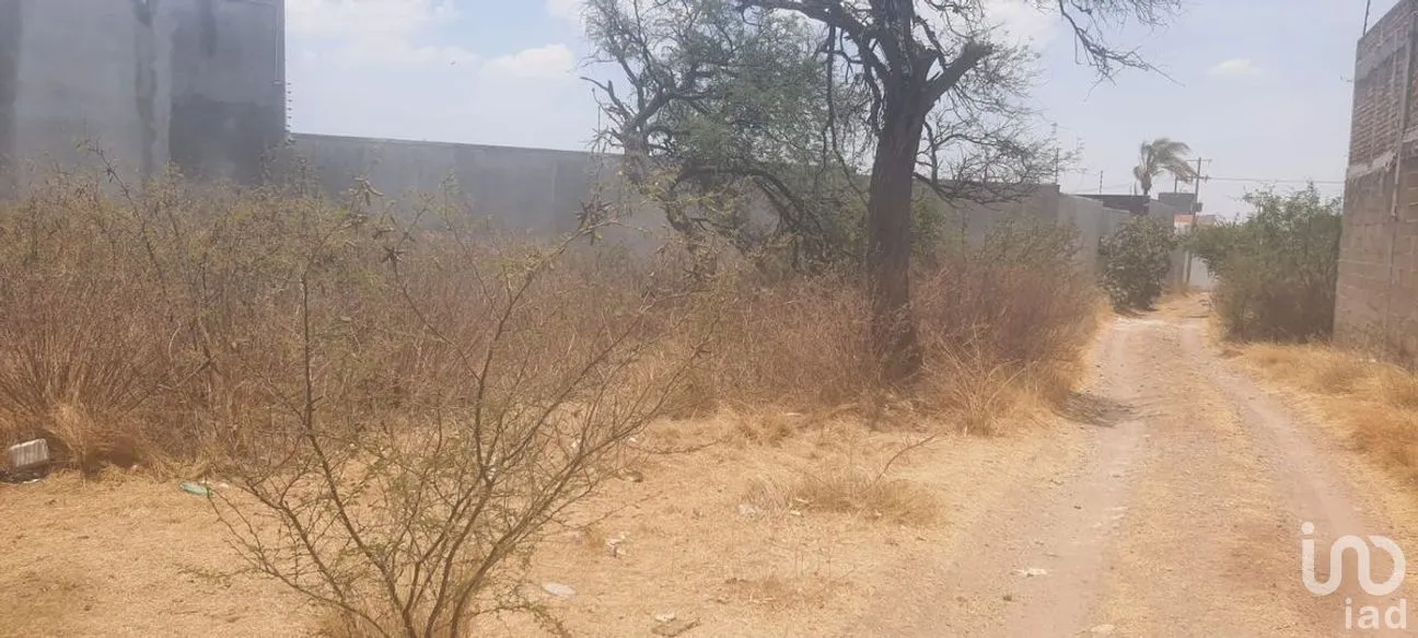 Terreno en Venta en Yerbabuena, Guanajuato, Guanajuato | NEX-277218 | iad México | Foto 3 de 7