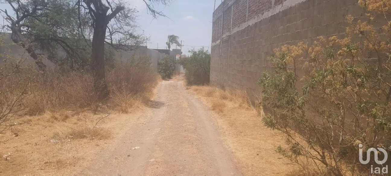 Terreno en Venta en Yerbabuena, Guanajuato, Guanajuato | NEX-277218 | iad México | Foto 4 de 7