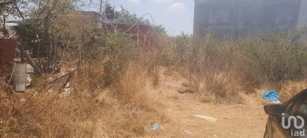 Terreno en Venta en Yerbabuena, Guanajuato, Guanajuato | NEX-277218 | iad México | Foto 7 de 7