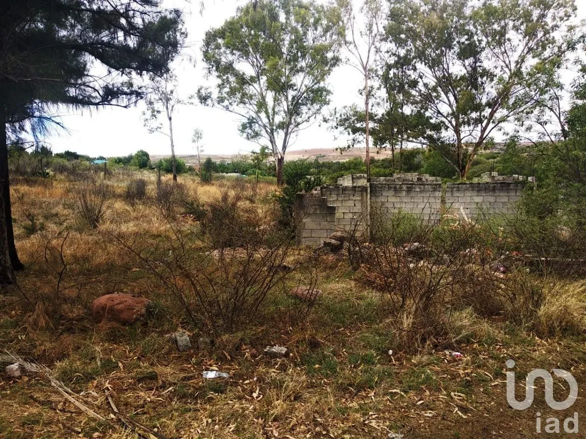 Terreno en Venta en Puentecillas, Guanajuato, Guanajuato | NEX-277219 | iad México | Foto 5 de 7