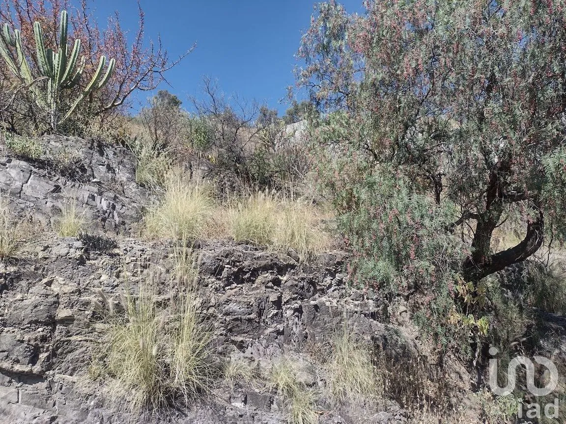 Terreno en Venta en Guanajuato Centro, Guanajuato, Guanajuato | NEX-277226 | iad México | Foto 8 de 15