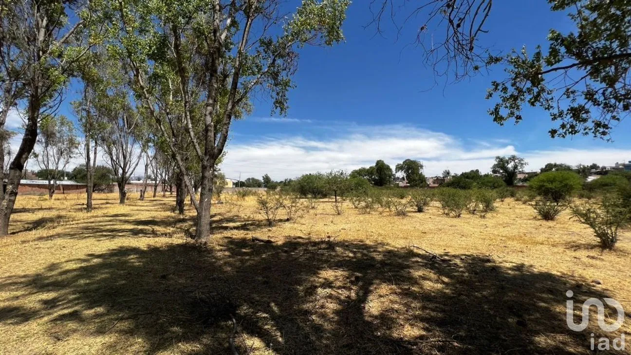 Terreno en Venta en Cañada de Ricos, Lagos de Moreno, Jalisco | NEX-277248 | iad México | Foto 3 de 13