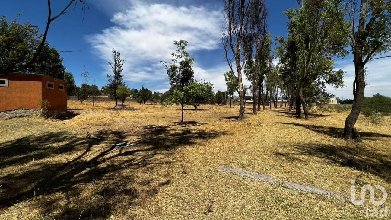 Terreno en Venta en Cañada de Ricos, Lagos de Moreno, Jalisco | NEX-277248 | iad México | Foto 8 de 13