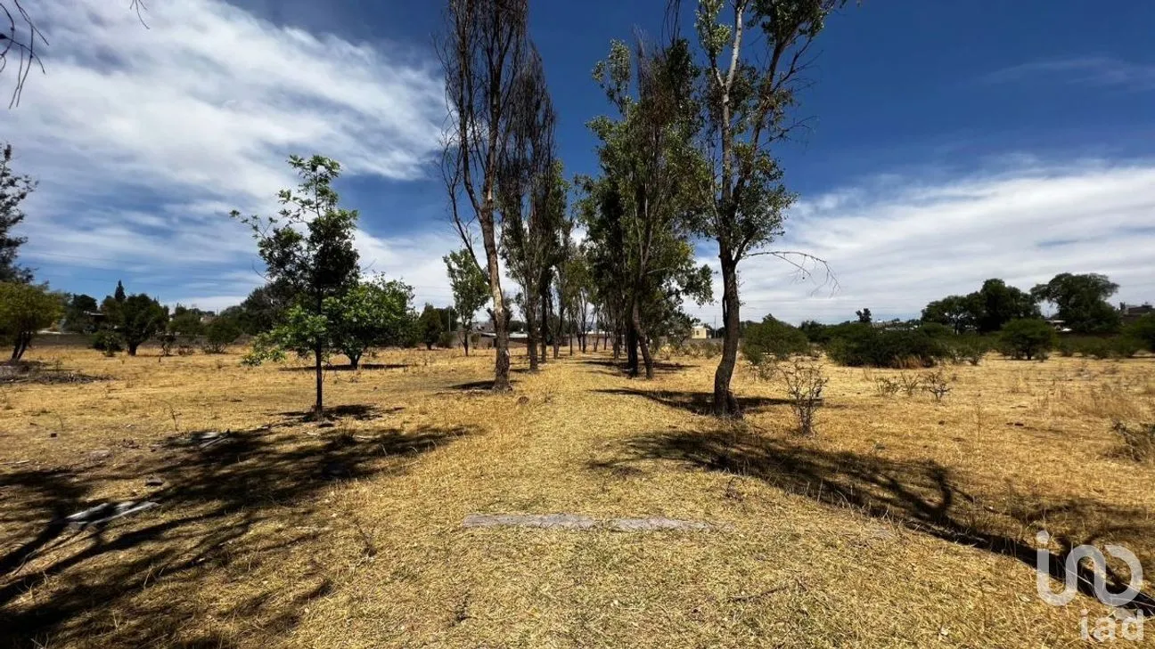Terreno en Venta en Cañada de Ricos, Lagos de Moreno, Jalisco | NEX-277248 | iad México | Foto 9 de 13