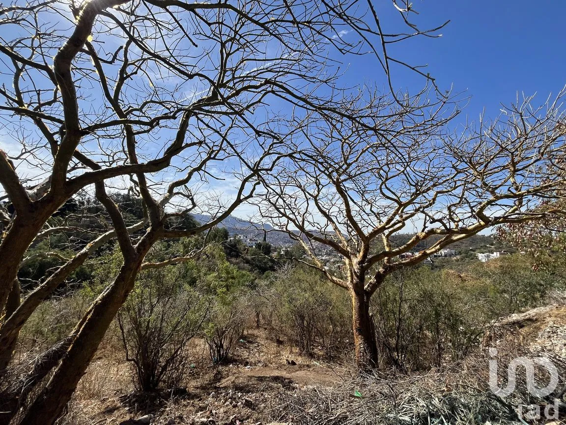 Terreno en Venta en San Javier 2, Guanajuato, Guanajuato | NEX-277269 | iad México | Foto 9 de 13