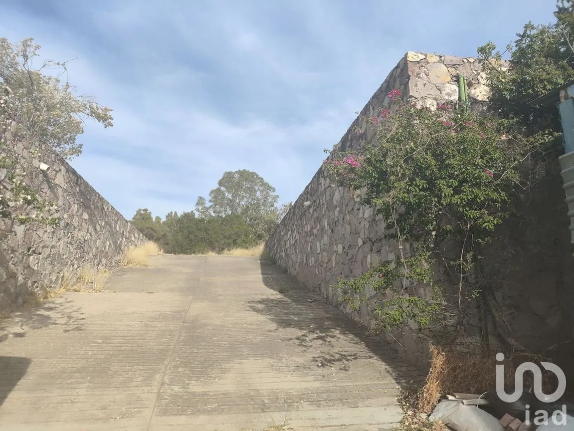 Terreno en Renta en Marfil Centro, Guanajuato, Guanajuato | NEX-277282 | iad México | Foto 6 de 16