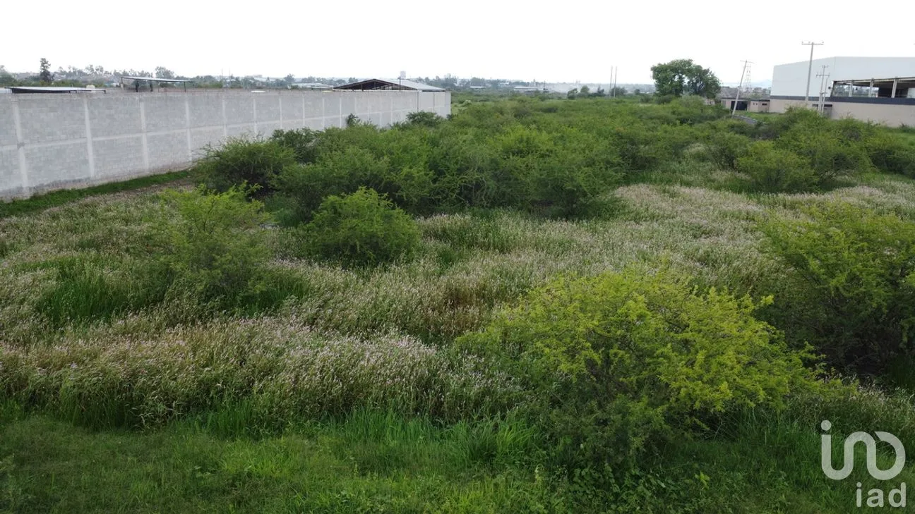 Terreno en Venta en Las Malvas Revolución, Irapuato, Guanajuato | NEX-277291 | iad México | Foto 3 de 16