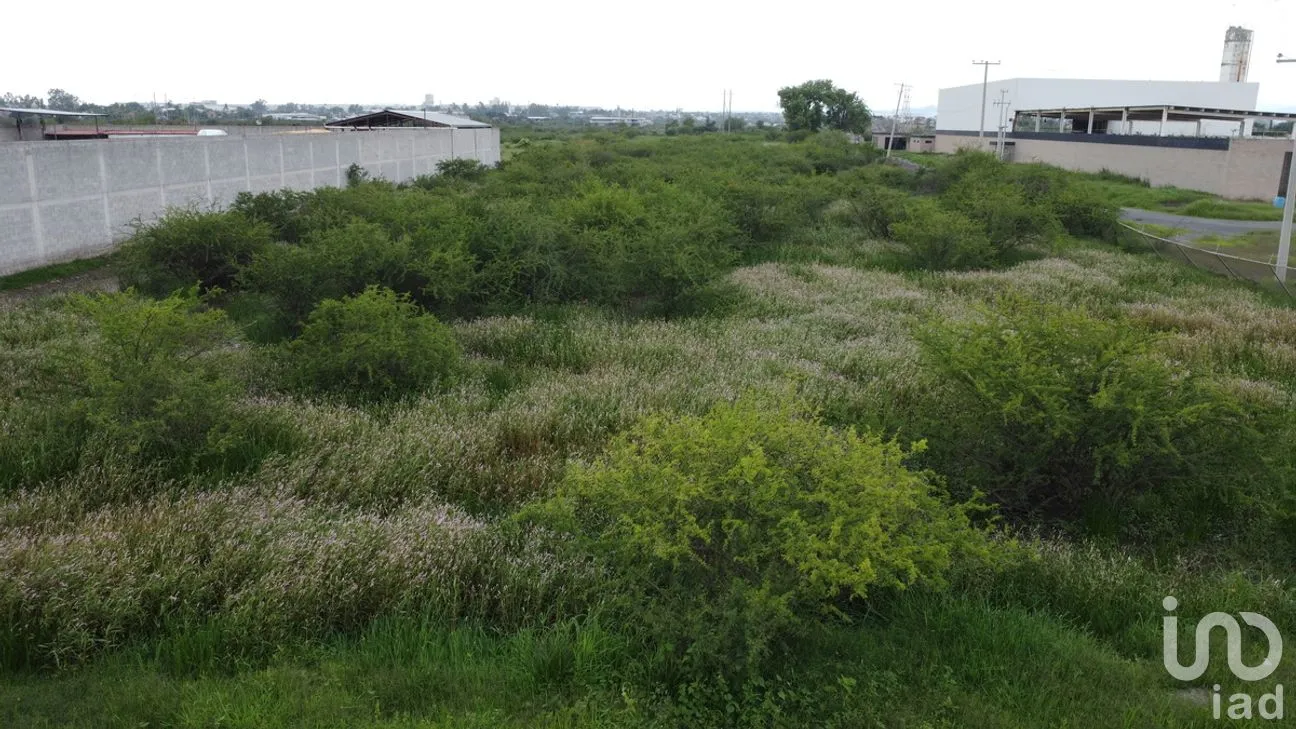 Terreno en Venta en Las Malvas Revolución, Irapuato, Guanajuato | NEX-277291 | iad México | Foto 9 de 16
