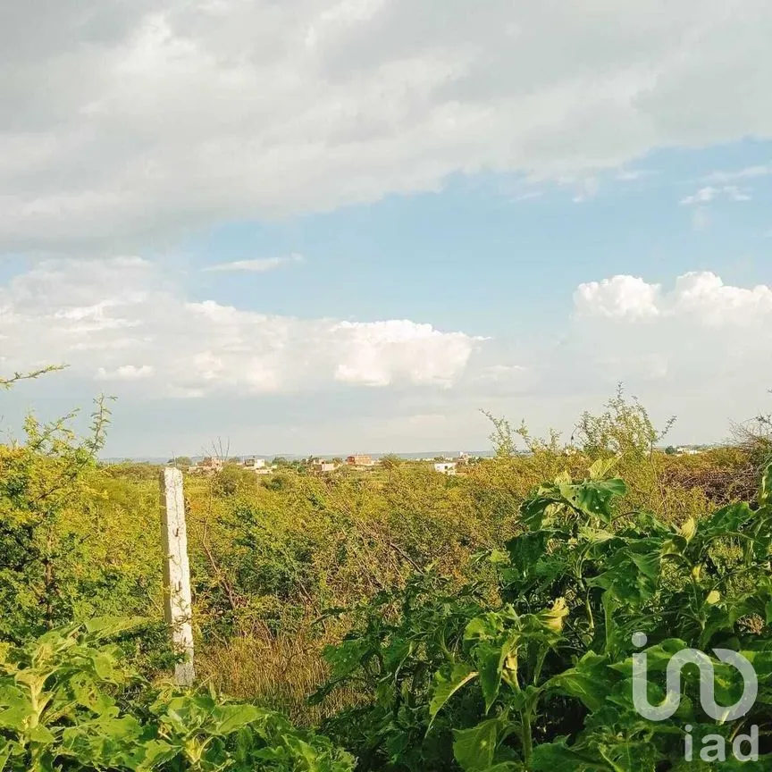 Terreno en Venta en Puentecillas, Guanajuato, Guanajuato | NEX-277297 | iad México | Foto 16 de 25