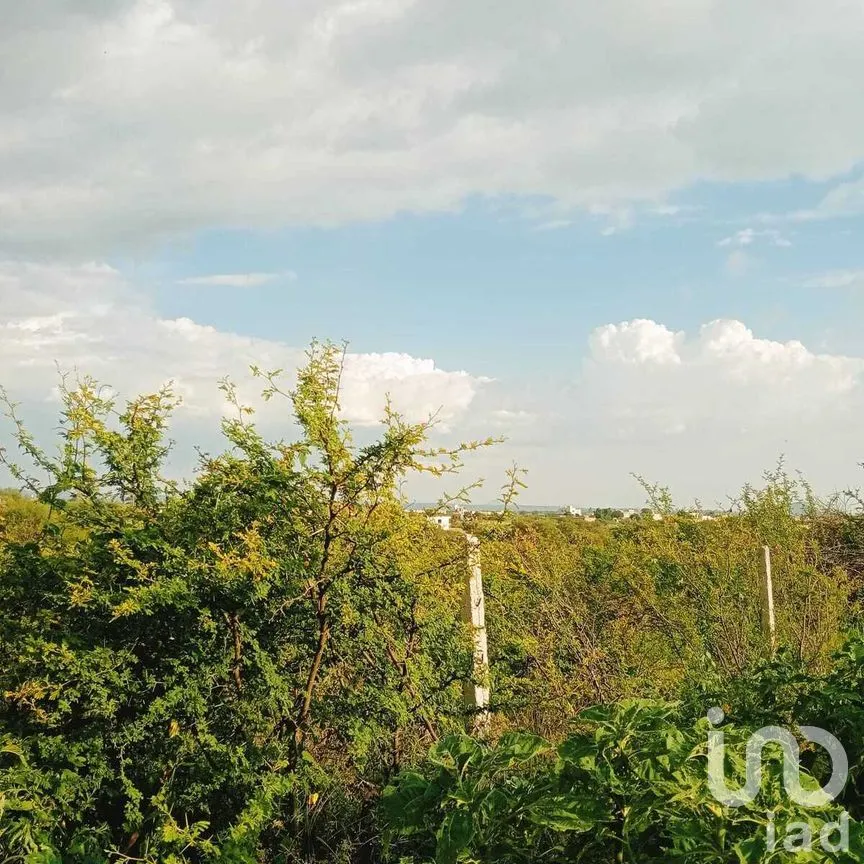 Terreno en Venta en Puentecillas, Guanajuato, Guanajuato | NEX-277297 | iad México | Foto 17 de 25