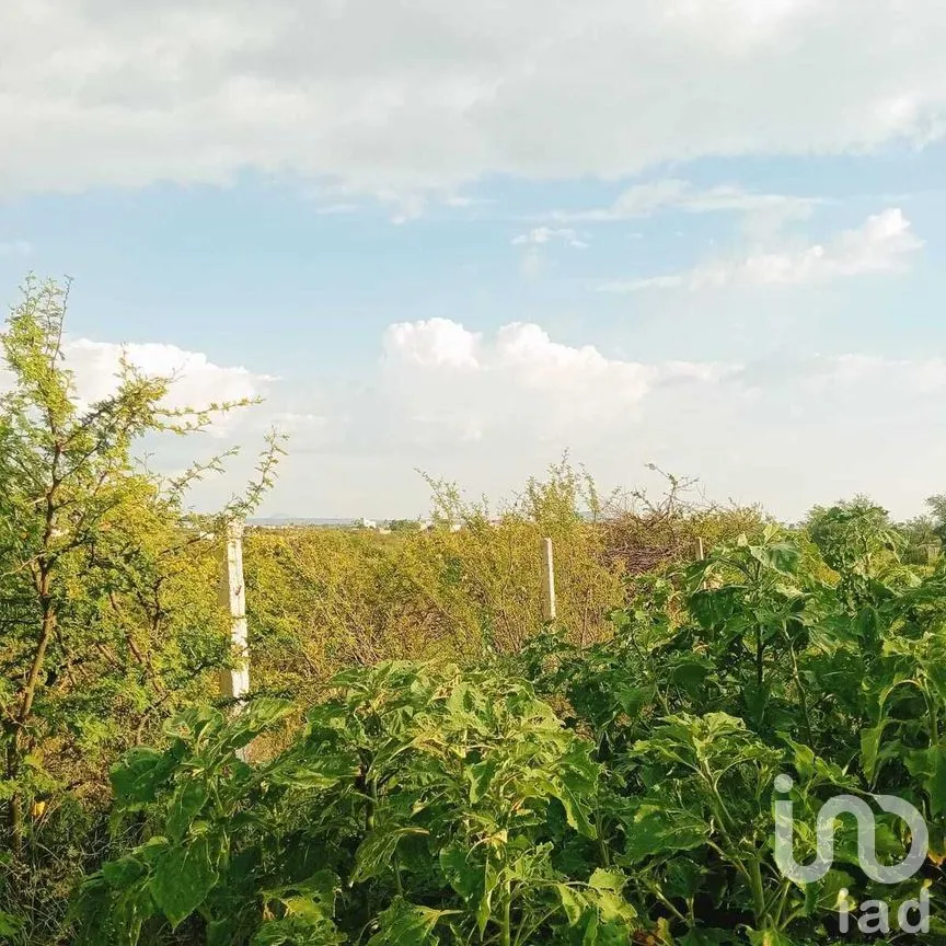 Terreno en Venta en Puentecillas, Guanajuato, Guanajuato | NEX-277297 | iad México | Foto 18 de 25