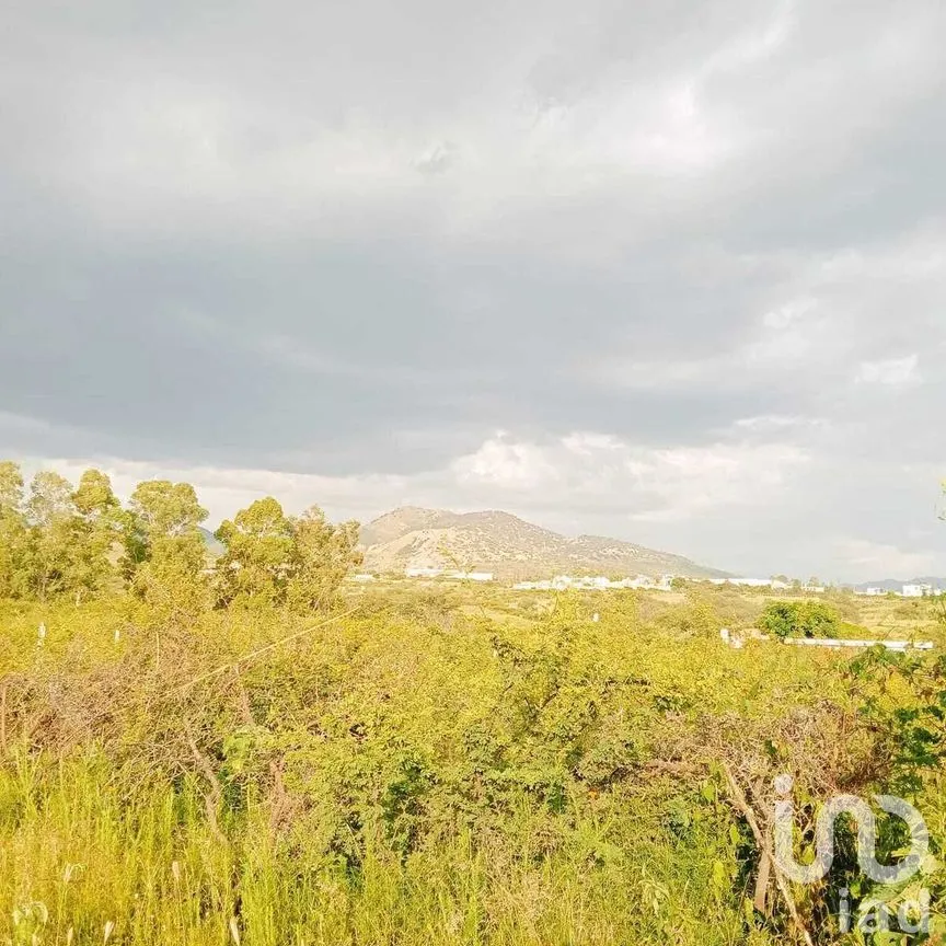 Terreno en Venta en Puentecillas, Guanajuato, Guanajuato | NEX-277297 | iad México | Foto 21 de 25